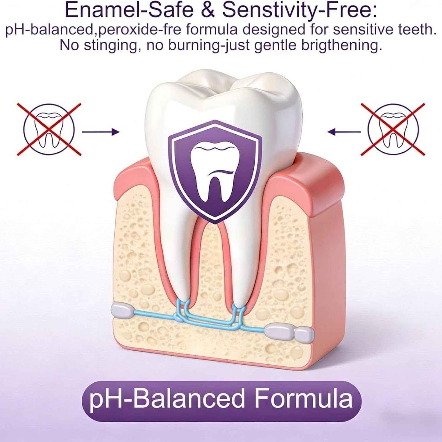 Purple Teeth Whitening Combo K - Purple Toning Shampoo ulasan dan harga